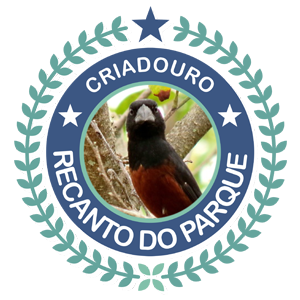 Criadouro Recanto do Parque - Curió - São Paulo/SP
